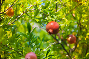 Similar image 2774724