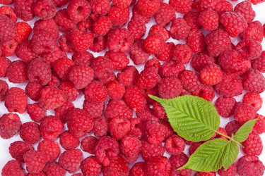 Similar image 2774736