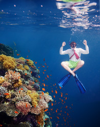 Similar image 2775095