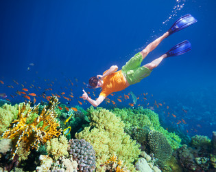 Similar image 2775109