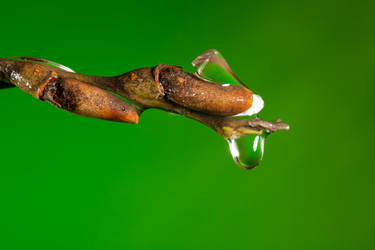 Similar image 2775213