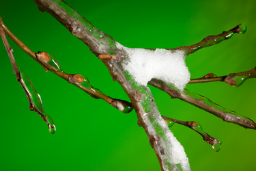 Similar image 2775216