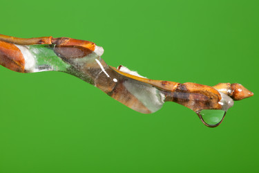 Similar image 2775219