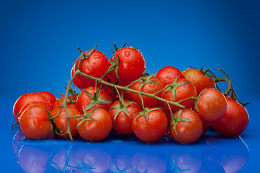 Similar image 2775380