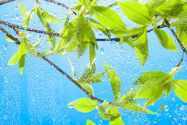 Similar image 2775456