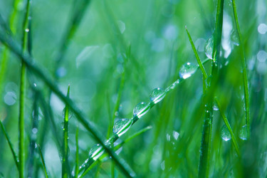 Similar image 2775475