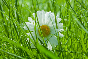 Similar image 2775476