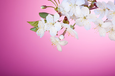 Similar image 2775481