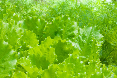 Similar image 2775490