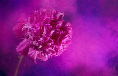 Similar image 2775504