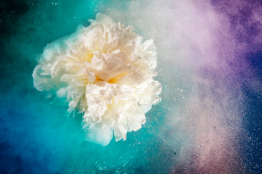 Similar image 2775508