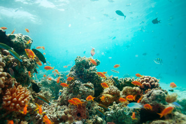 Similar image 2775570