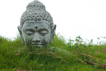 Similar image 2775598