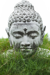 Similar image 2775600