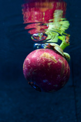 Similar image 2775646