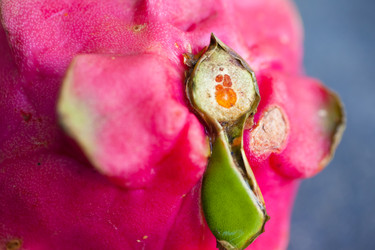 Similar image 2775647