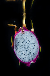 Similar image 2775650