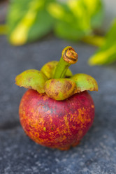 Similar image 2775652