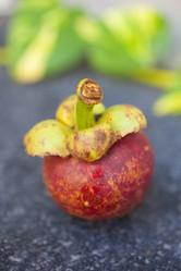 Similar image 2775653