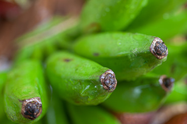 Similar image 2775659