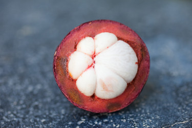 Similar image 2775661