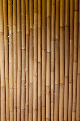 Similar image 2775663