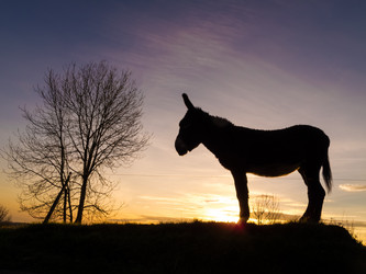 Similar image 2775703