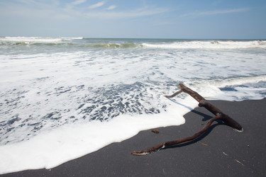 Similar image 2775704