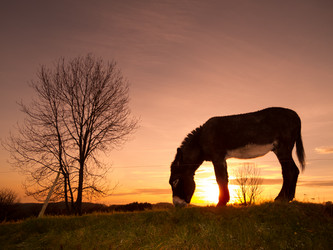 Similar image 2775705