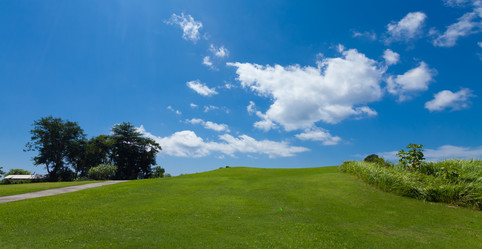 Similar image 2775735