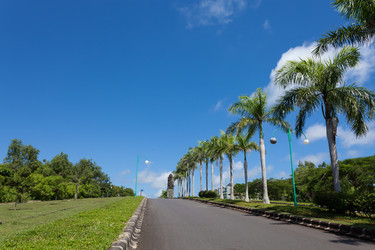 Similar image 2775739