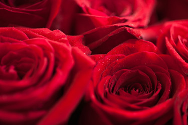 Similar image 2775753