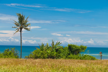 Similar image 2775768