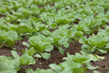 Similar image 2775801