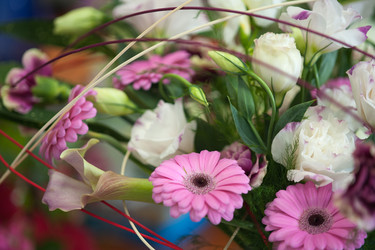 Similar image 2775832