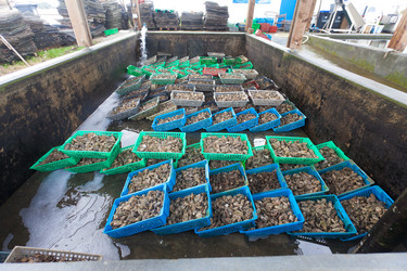 Similar image 2775857