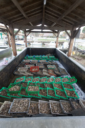 Similar image 2775858