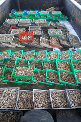 Similar image 2775859