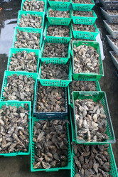 Similar image 2775860