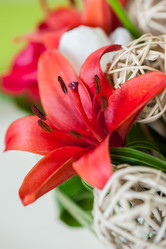 Similar image 2775890