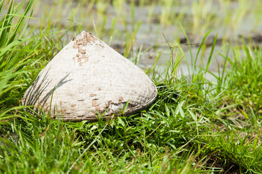 Similar image 2775928