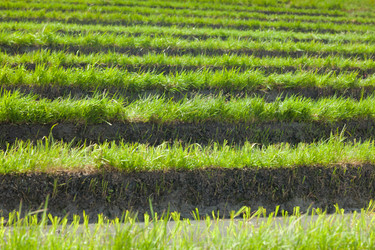 Similar image 2775932