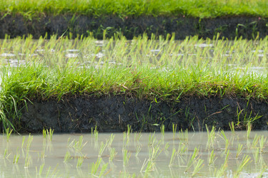 Similar image 2775936