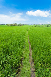 Similar image 2775941