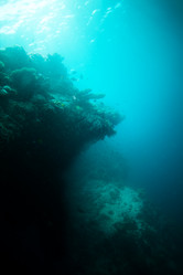 Similar image 2776017