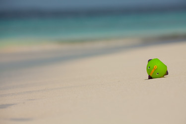 Similar image 2776028