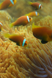 Similar image 2776046