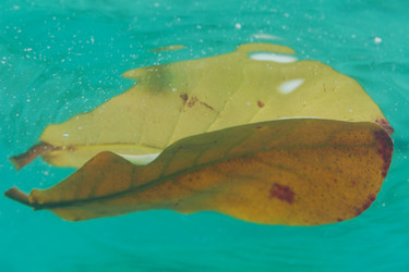 Similar image 2776048