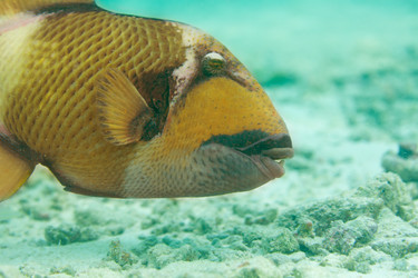 Similar image 2776053