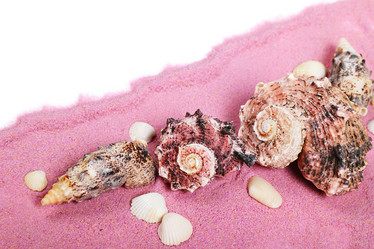 Similar image 2776132